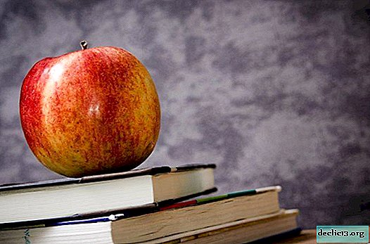 Praznični dan znanja - 1. september in Dan učiteljev - 5. oktober