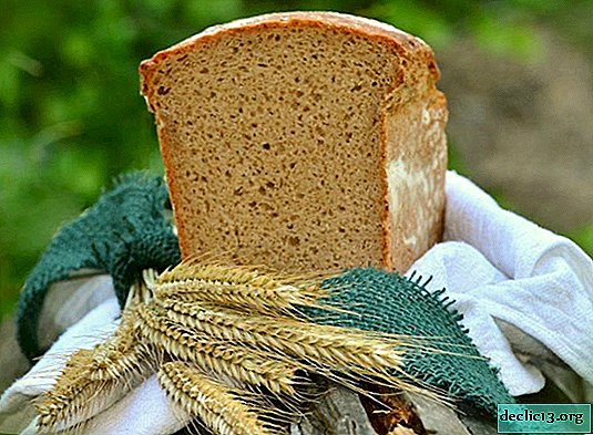 Wie man Kwas aus Brot macht - 11 schrittweise Rezepte