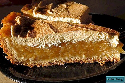 How to make a delicious pie - 12 step-by-step recipes with video