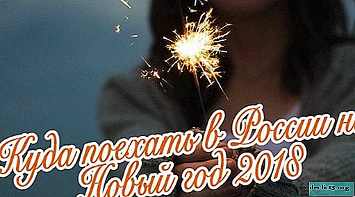 Where to go and where to celebrate New Year 2019 in Russia - Interior