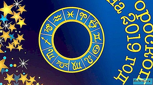 Horóscopo para 2019 en todos los signos del zodiaco - Interesante