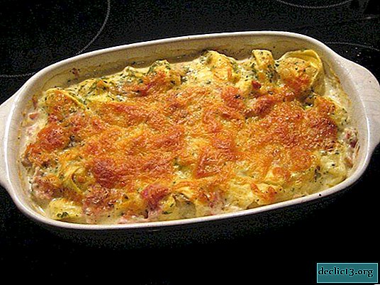 Oven potato casserole with minced meat - 5 step-by-step recipes