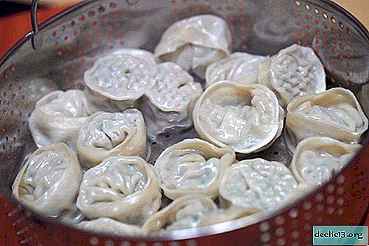 How to cook dumplings - 5 step by step recipes and 4 test recipes