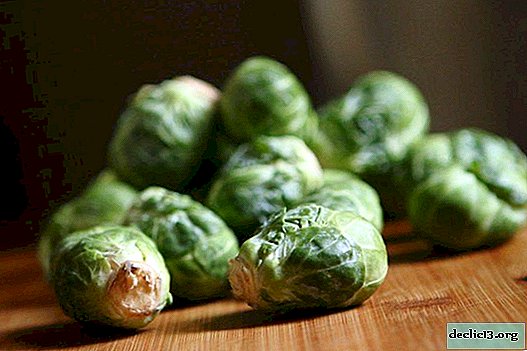 Brussels sprouts tasty and healthy - 5 step-by-step cooking recipes