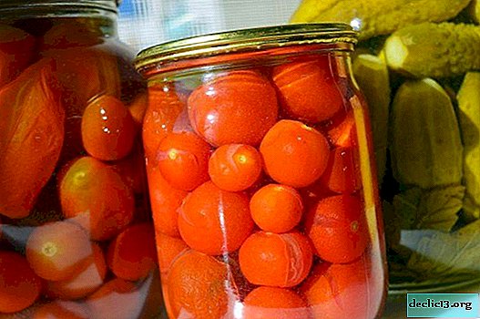 Ako soliť paradajky na zimu - recepty krok za krokom 5