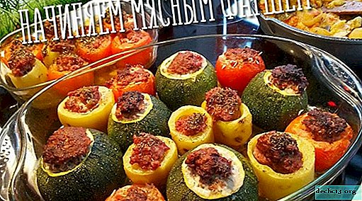 Zucchini with minced meat in the oven - 5 step by step recipes