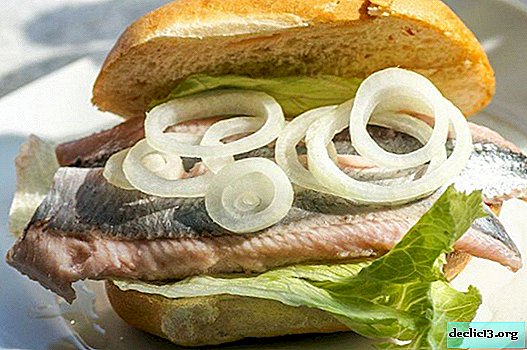 How to salt herring at home - 9 step-by-step recipes