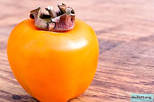 What is the benefit of persimmon for the body