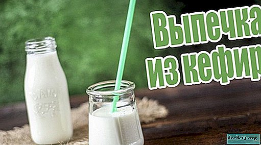 What to bake from kefir quickly and tasty