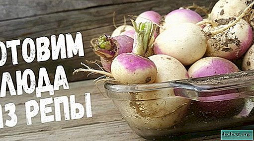 What can be cooked from turnips to make it tasty