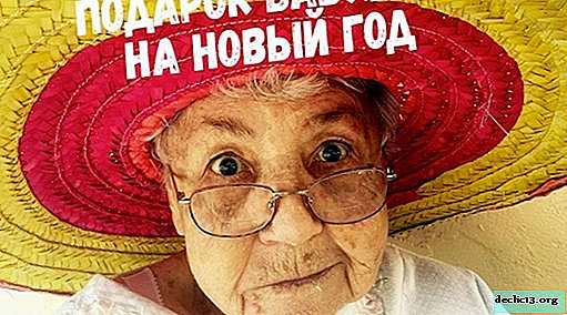 What to give grandmother for New Year - Interior