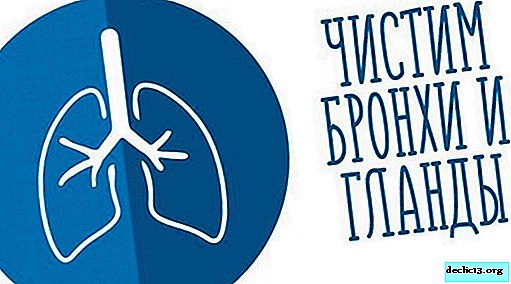 Effective methods of cleaning the bronchi and tonsils against sputum and mucus