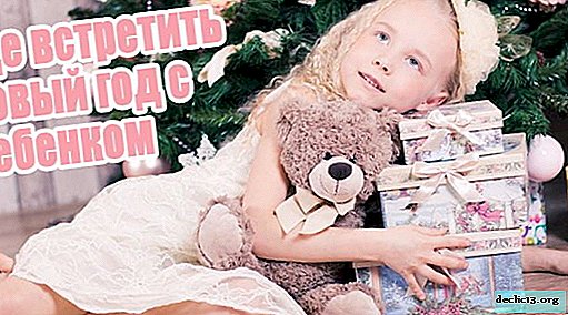 Where to celebrate New Year with a child in Russia and abroad