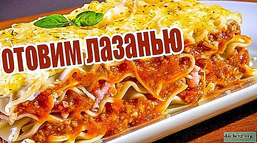 We prepare delicious lasagna from ready-made sheets and homemade dough