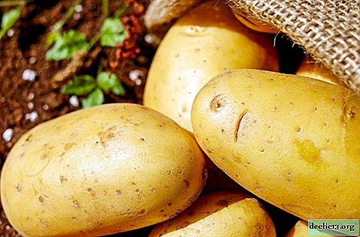 Wie man eine junge Kartoffel schnell schält