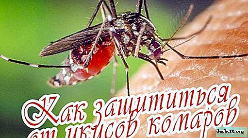 Ako sa zbaviť komárov doma