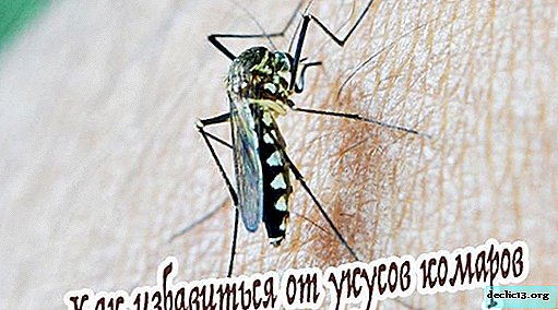 Sivrisinek ısırıkları kurtulmak için nasıl