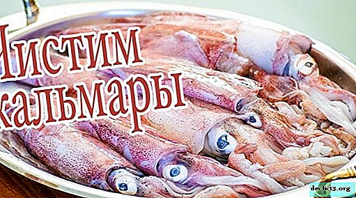 How to clean and how much to cook squid