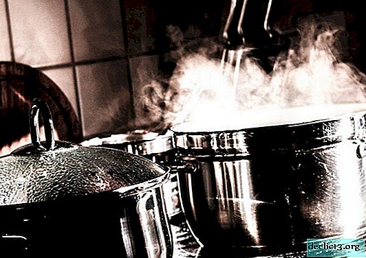 Comment nettoyer la poêle des aliments brûlés et de la noirceur