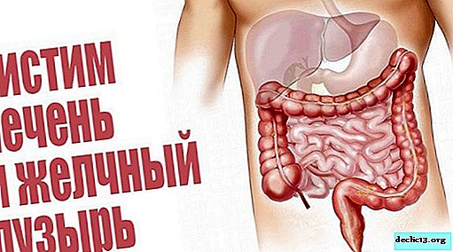 How to clean the liver and gall bladder