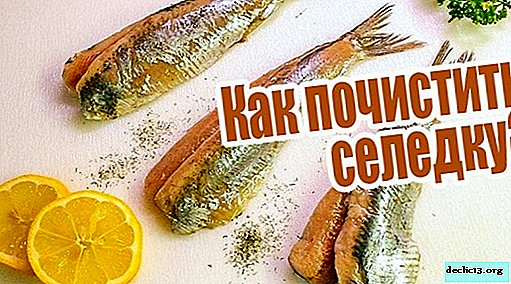 How to clean herring quickly and without bones