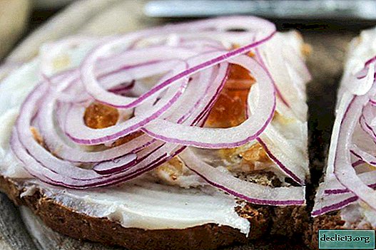 How to salt lard in brine, with garlic, in a jar, onion peel