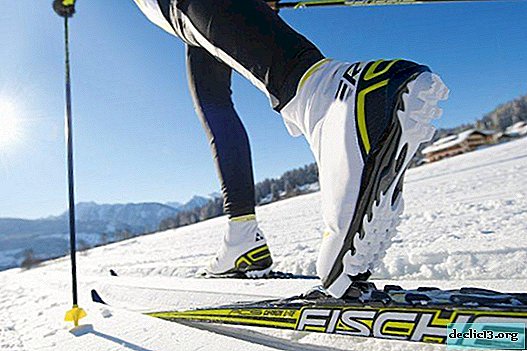 Cómo elegir el esquí adecuado: esquí de fondo, patinaje, montaña, esquí