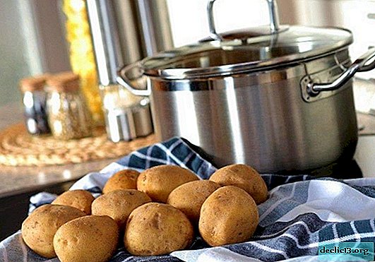Kako ocvrt krompir s skorjo in čebulo - korak za korakom recepti