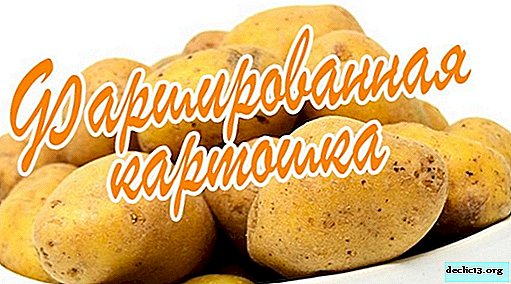Kuidas küpsetatud kartulit ahjus küpsetada