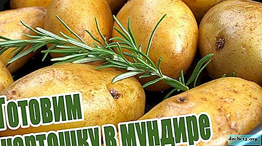 Kuidas küpsetada kartulit nende nahast ahjus