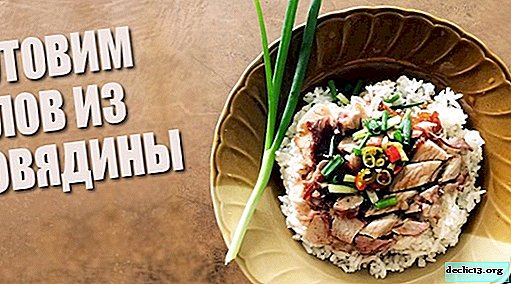 Cómo cocinar pilaf de carne uzbeka real - Nutrición