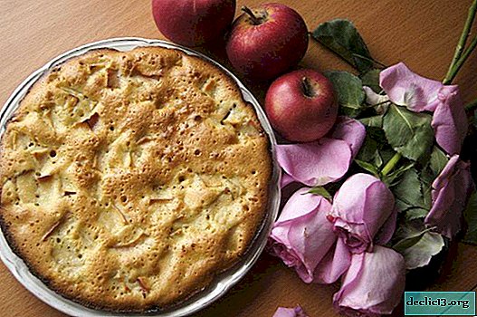 How to cook charlotte with apples in the oven