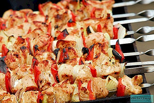Comment faire cuire le kebab - recettes étape par étape et délicieuse marinade à la viande