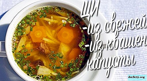 How to cook cabbage soup with fresh and pickled cabbage - Food