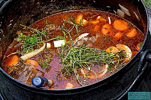 كيف لطهي الحساء من لحم الخنزير ولحم البقر والدجاج والقندس - طعام