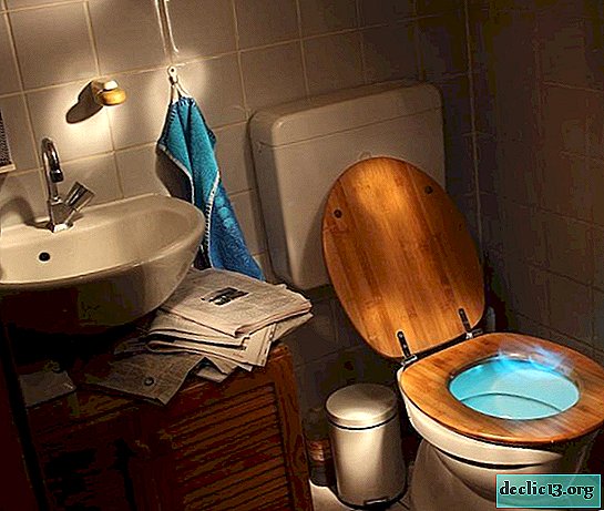 Comment nettoyer un sabot dans les toilettes à la maison