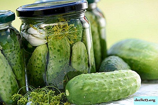 Hoe maak je gezouten komkommers thuis