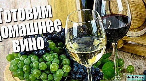 How to make wine from grapes at home