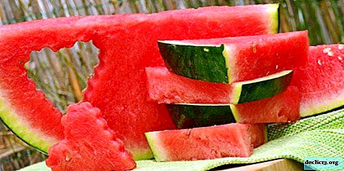 How to salt watermelons for the winter