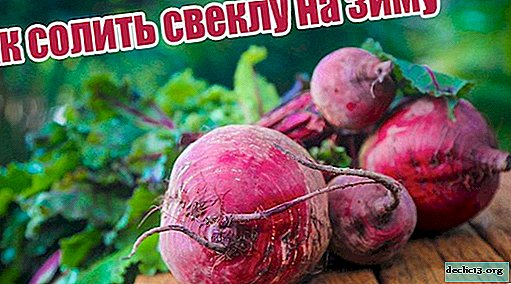 How to salt beets for the winter at home