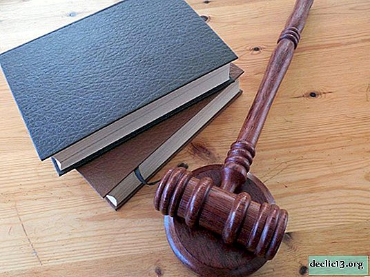 How to become a judge in the Russian Federation - instructions and tips