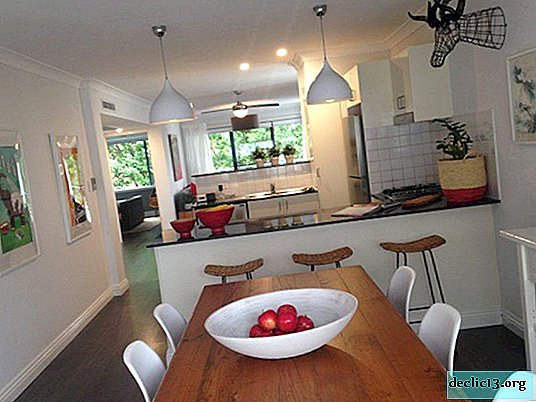 Comment choisir une cuisine pour un appartement et une résidence d'été - conseils utiles
