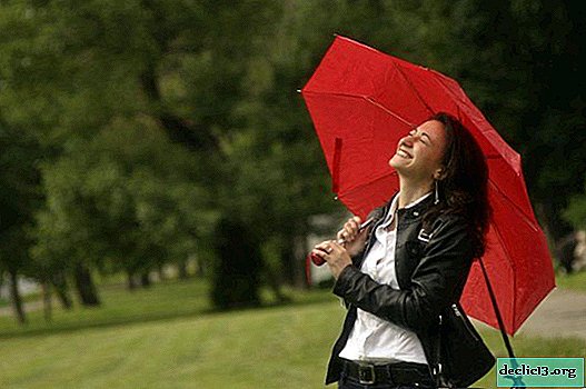 Ako si vybrať odolný dáždnik pre mužov a ženy