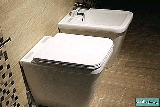 How to choose the right toilet - expert advice