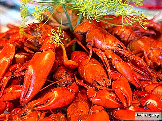 How to make delicious crayfish at home