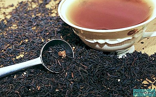 Monastic tea - true or divorce? The whole truth about monastery tea - Health