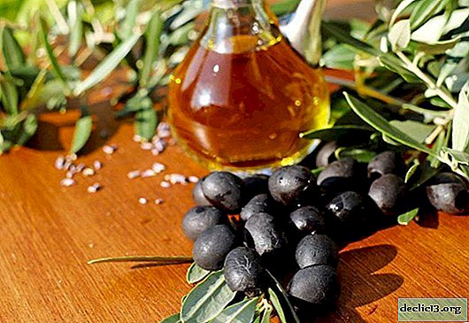 Oliven und Oliven - was ist der Unterschied