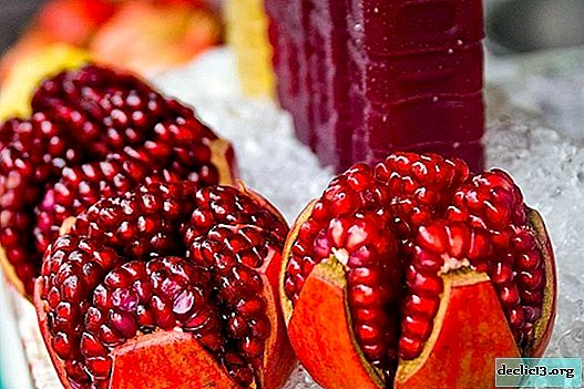 Useful properties of pomegranate for the body - Health