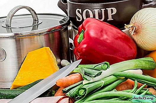 وصفات للحساء: خرشو ، دجاج ، ديك رومي ، فطر