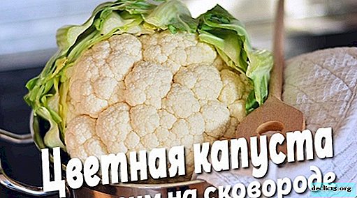 Fried cauliflower: fast, tasty and healthy